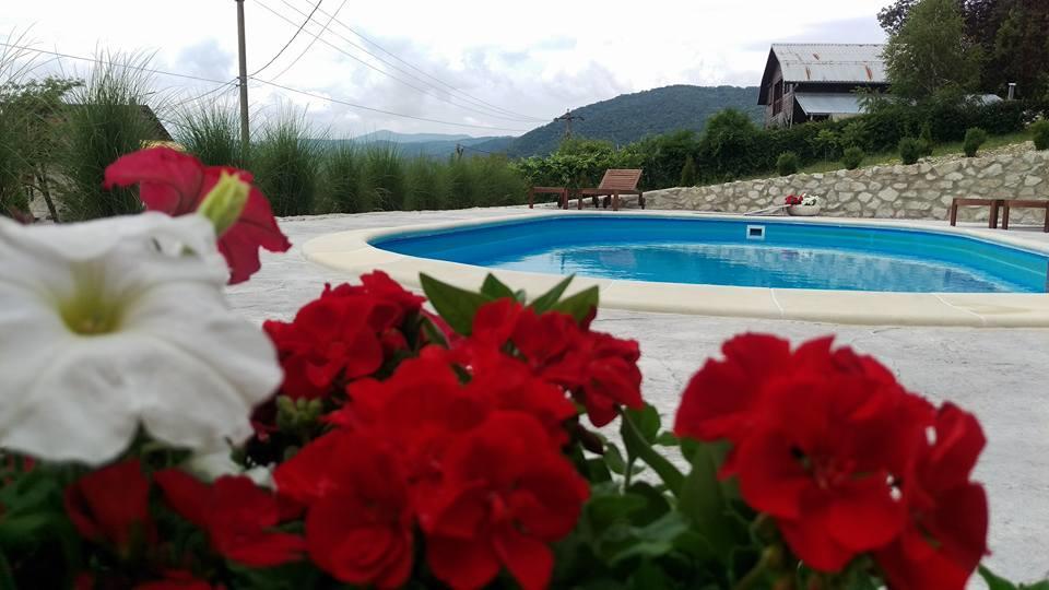 Pensiunea Casa Mircea & Restaurant Ieşelniţa Extérieur photo