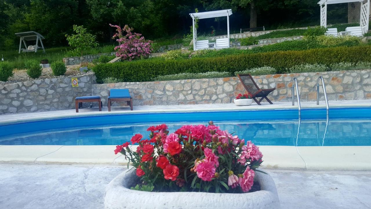 Pensiunea Casa Mircea & Restaurant Ieşelniţa Extérieur photo